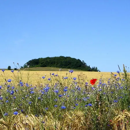 Mit Traumhaftem Meerblick - Haus Am 07 Apartmán Lohme